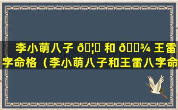 李小萌八子 🦉 和 🌾 王雷八字命格（李小萌八子和王雷八字命格一样吗）